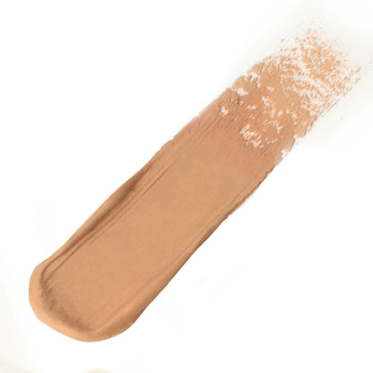 Pro Perfect Finish Concealer